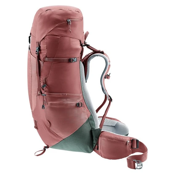 Deuter Aircontact Lite 45 + 10 SL Damen Trekkingrucksack Caspia-ivy 2 Deuter Aircontact Lite 45 + 10 SL Damen Trekkingrucksack Caspia-ivy – Bild 2
