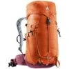 Deuter Trail 22 SL Damen Wanderrucksack Chestnut-maron